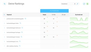 suchmaschinen google optimierung seo witten